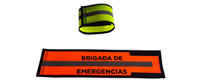 Brazalestes